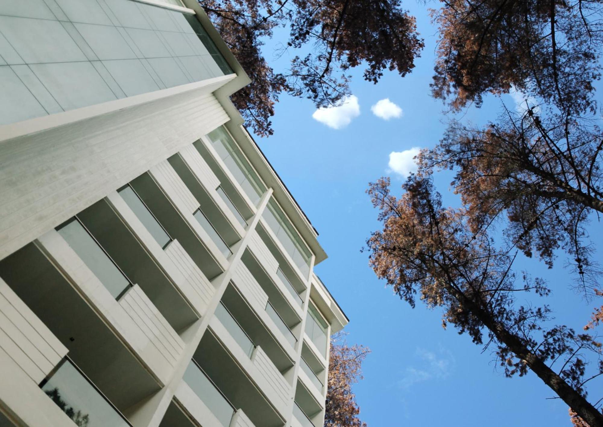 The Plaza Lodge Baguio Baguio City Ngoại thất bức ảnh